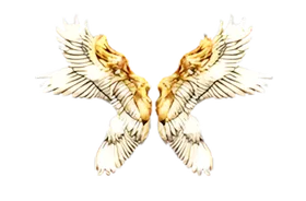 Angel Wings